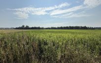 Jak wybrać odpowiednią we Wrocławiu działkę pod budowę domu jednorodzinnego?